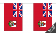 Bermuda Buntings